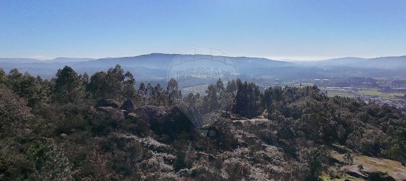 85900m² Land in Barcelos, Portugal No. 38340 11