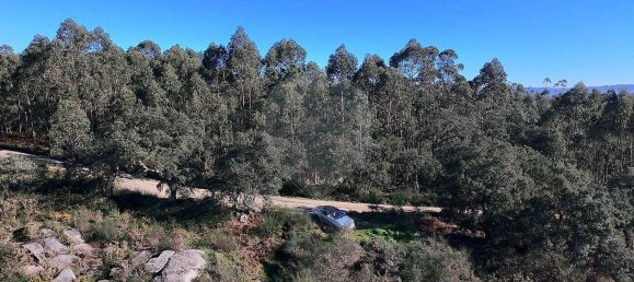 85900m² Land in Barcelos, Portugal No. 38340 8