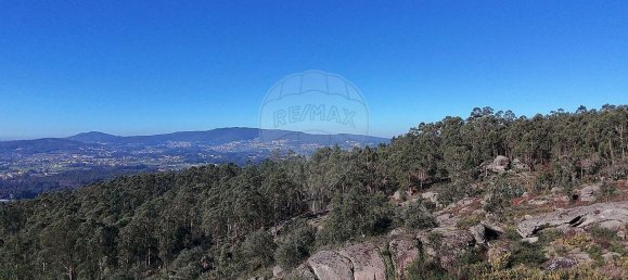 85900m² Land in Barcelos, Portugal No. 38340 3