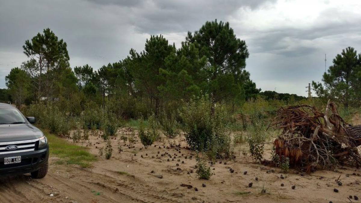  Land in Mar del Plata, Argentina No. 113221