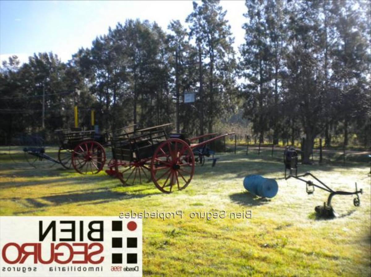 2 Schlafzimmer Haus in Canelones, Uruguay, Nr. 237