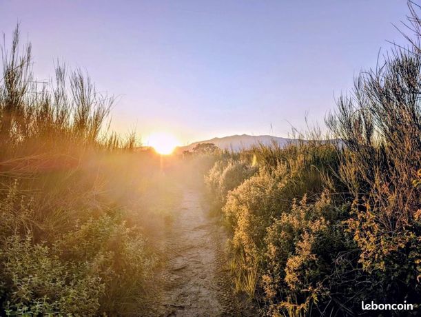 3 bedrooms Apartment in Borgo, France No. 307905