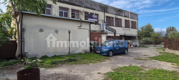 1600m² Warehouse in Castellalto, Italy No. 229797 9