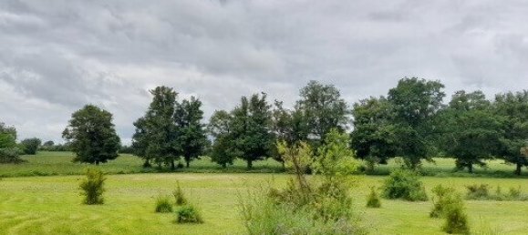 4 غرف نوم منزل في Dammarie-en-Puisaye, France رقم 62249 26