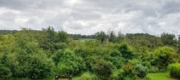 4 غرف نوم منزل في Dammarie-en-Puisaye, France رقم 62249 21