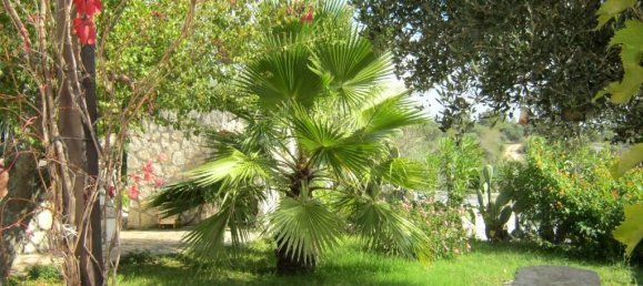 5 rooms House in Ostuni, Italy No. 176099 14