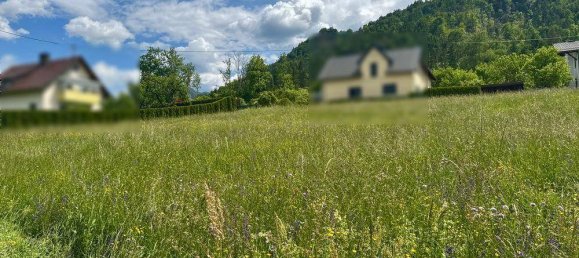 Grundstück in Ferlach, Austria 1516m², Nr. 138099 3