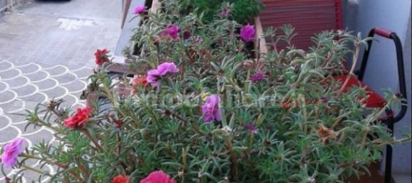 2 Schlafzimmer Wohnung in Santa Ninfa, Italy, Nr. 290936 10