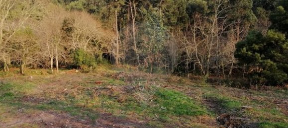 1263m² Land in Viana do Castelo, Portugal No. 88131 4