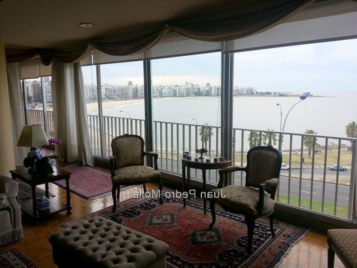 4 bedrooms Apartment in Montevideo, Uruguay No. 1981