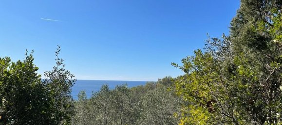 35000m² Hotel in Corfu, Greece No. 5071 2