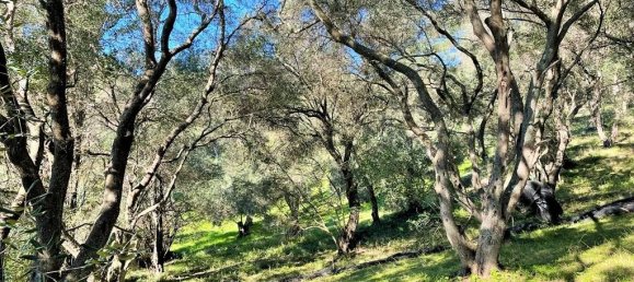 35000m² Hotel in Corfu, Greece No. 5071 6