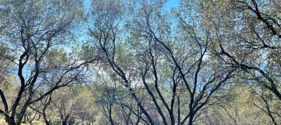 35000m² Hotel in Corfu, Greece No. 5071 8