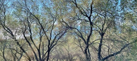 35000m² Hotel in Corfu, Greece No. 5071 7