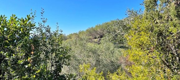 35000m² Hotel in Corfu, Greece No. 5071 4