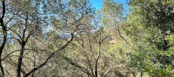 35000m² Hotel in Corfu, Greece No. 5071 3