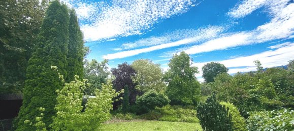 5 rooms House in Frankfurt an der Oder, Germany No. 238449 11