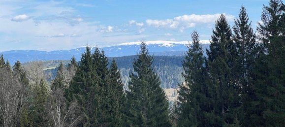 Дом с 4 комнатами в Гурк, Австрия № 239952 7