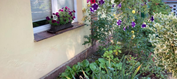 6-Zimmer Stadthaus in Mecklenburgische Seenplatte, Germany, Nr. 172660 3