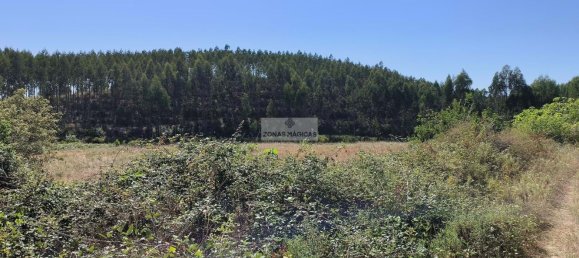 Terrain à Aljezur, Portugal 864750m² No. 134025 9