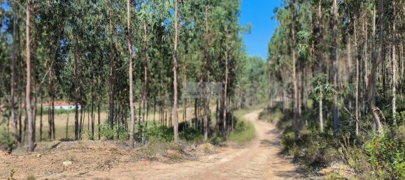 Terrain à Aljezur, Portugal 864750m² No. 134025 13