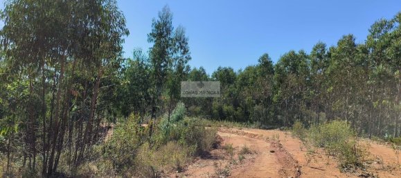Terrain à Aljezur, Portugal 864750m² No. 134025 18