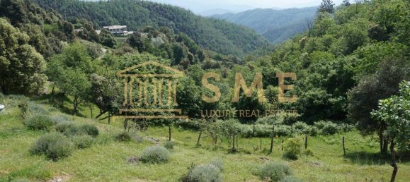 7 rooms House in Levanto, Italy No. 146334 13