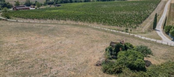 4-Zimmer Haus in Castellina in Chianti, Italy, Nr. 165220 8