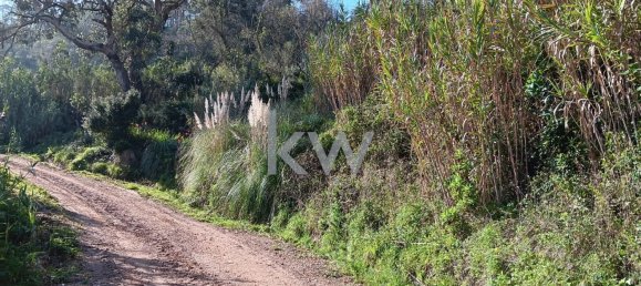 Terrain à Mafra, Portugal No. 64260 7