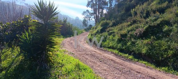 Terrain à Mafra, Portugal No. 64260 5