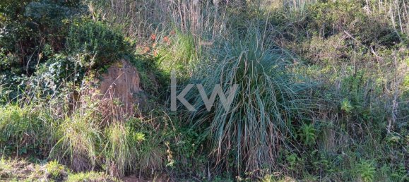 Terrain à Mafra, Portugal No. 64260 12