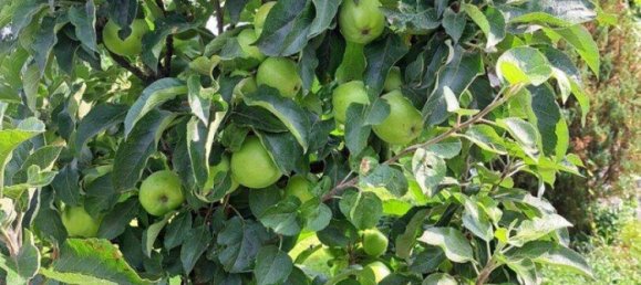 7 rooms House in Voitsberg, Austria No. 30333 11