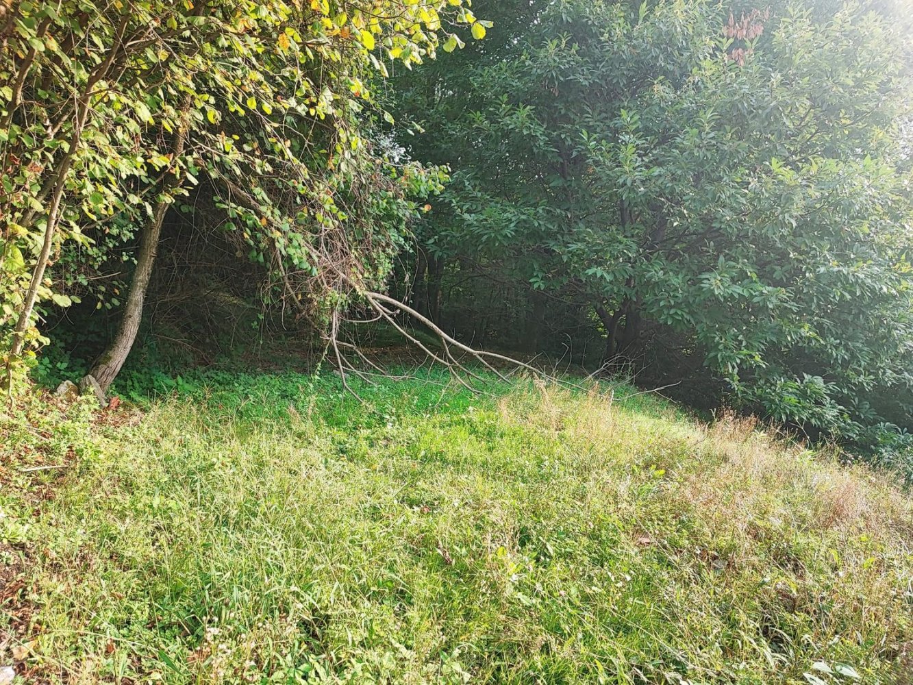 Terreno em Brovello-Carpugnino, Italy N.º 384705