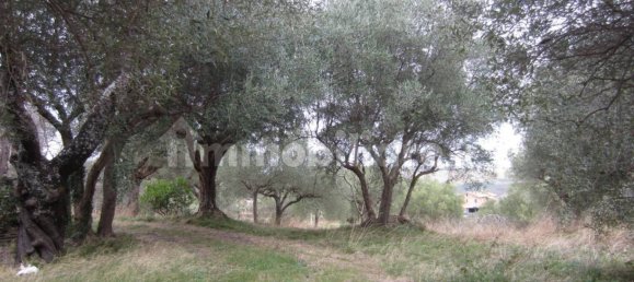 5غرفة فيلا في Cingoli, Italy رقم 238548 3