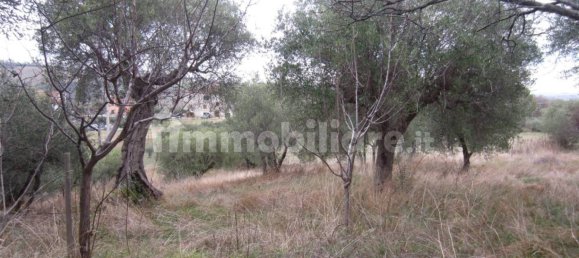 5غرفة فيلا في Cingoli, Italy رقم 238548 11