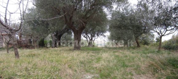 5غرفة فيلا في Cingoli, Italy رقم 238548 13