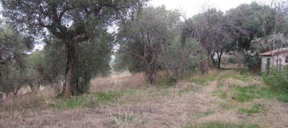 5غرفة فيلا في Cingoli, Italy رقم 238548 9