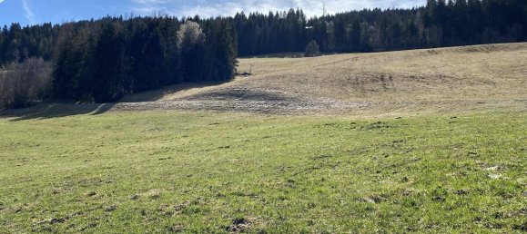 768m² Land in Liezen, Austria No. 154844 3