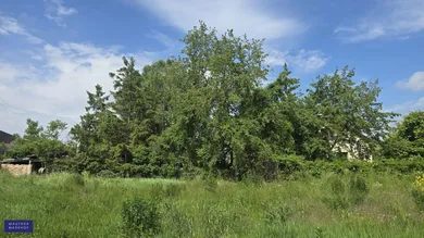  Land in Munchendorf, Austria No. 167454