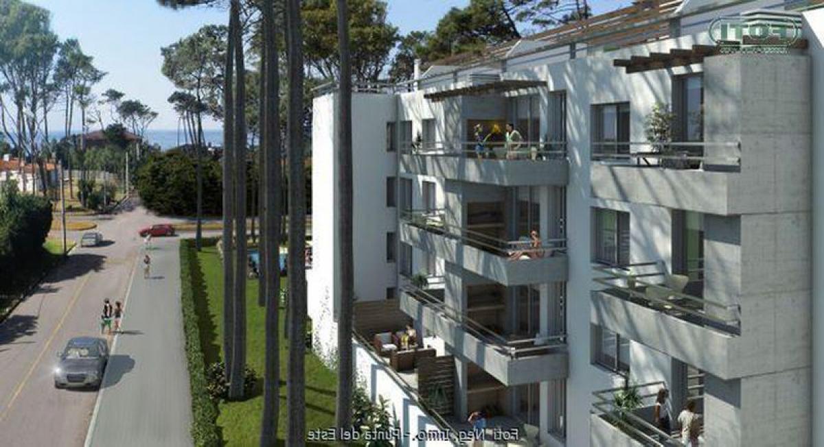 استوديو في Punta del Este, Uruguay رقم 12854