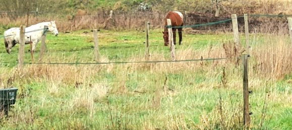 5 chambres Châteaux à Brandenburg, Germany No. 35962 7