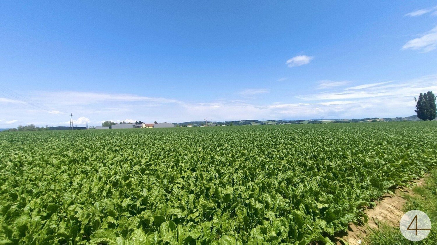 Terreno en Suben, Austria 1000 m² No. 58331