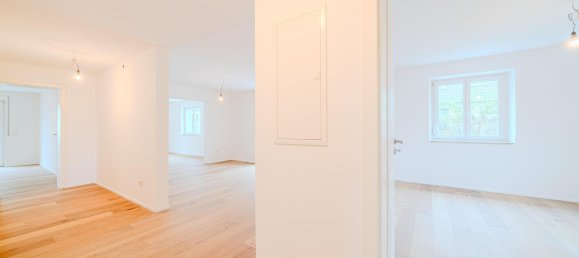 8 rooms House in Augsburg, Germany No. 119176 4