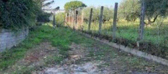 7-Zimmer Haus in Velletri, Italy, Nr. 99997 41