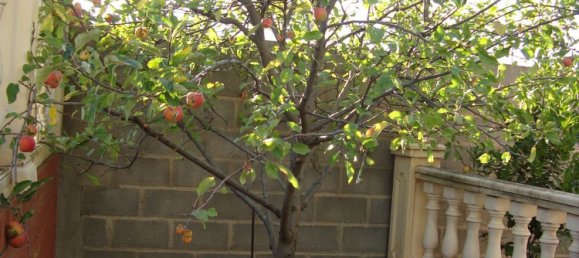 4 bedrooms House in Zamora, Spain No. 151838 27