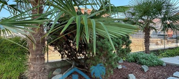 4 rooms Apartment in Volpiano, Italy No. 276017 7