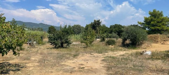 2900 m² hotel en venta en Corfu, Central Corfu and Diapontian Islands, Corfu, Ionian Islands, Peloponnese, Western Greece and the Ionian, Greece № 2962 11