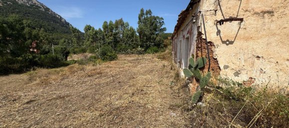 3 rooms Land in Sardinia, Italy No. 245967 8