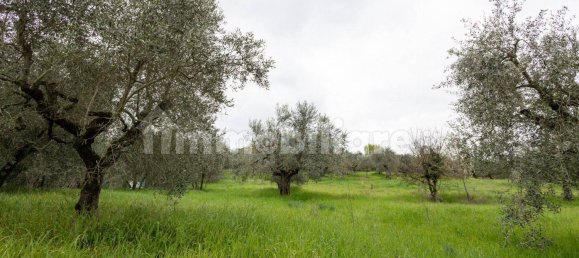 Villa T3 em Impruneta, Italy N.º 226024 42