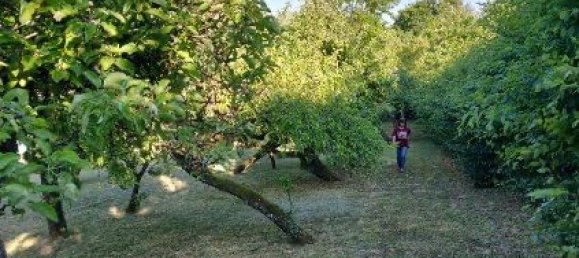 Casa de 3 dormitorios en Chalindrey, France No. 246842 3